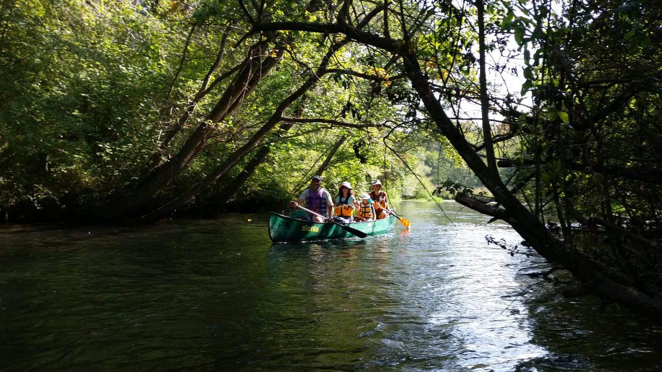 Wasserwandern der Flinken Paddel Breisach-Oberrimsingen