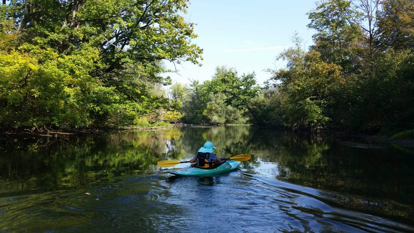 Kinderpaddeln der Flinken Paddel Breisach-Oberrimsingen